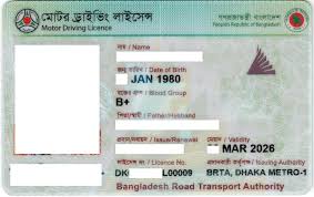 Driving Licence