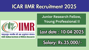 IIMR Jobs 2025